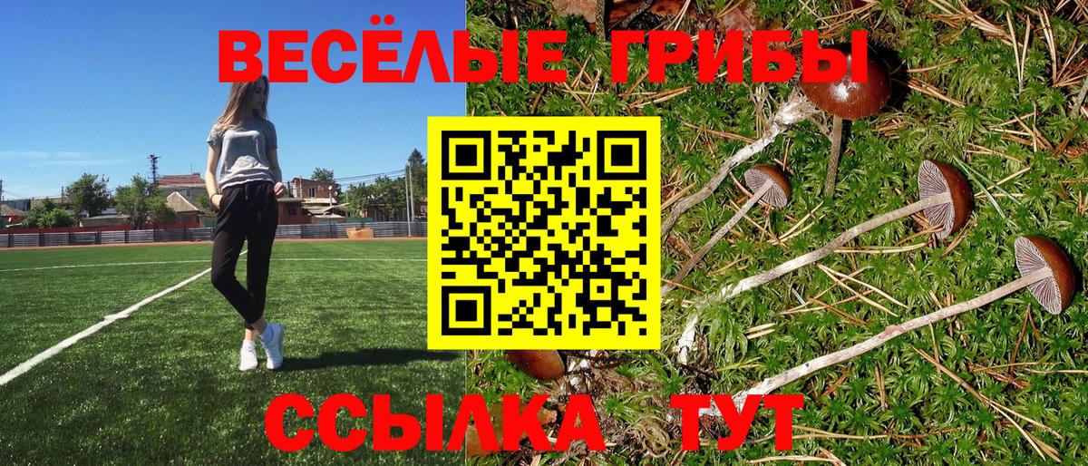 Псилоцибиновые грибы Cubensis  Псилоцибиновые грибы Cubensis  Орехово-Зуево  Вход с VPN 