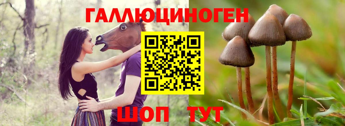 Псилоцибиновые грибы мицелий Орехово-Зуево